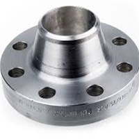 steel Flanges manufacturer supplier exporter in india