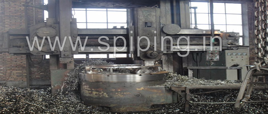 stainless steel 304 Flanges manufacturers in india