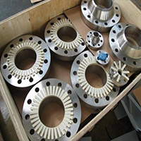 Nickel Alloy 200 flanges Manufacturer Suppliers India