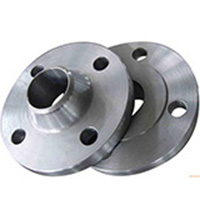 Stainless Steel 304H A182 Forged Flanges