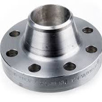 Stainless Steel 310S A182 Weld Neck Flanges
