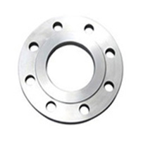Stainless Steel 304 A182 Plate Flanges